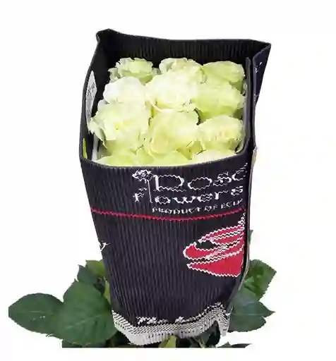 Rosas Blancas En Paquete
