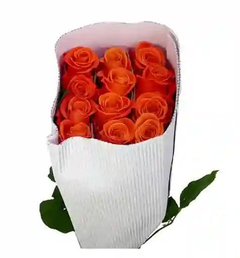 Rosa Naranja En Paquete