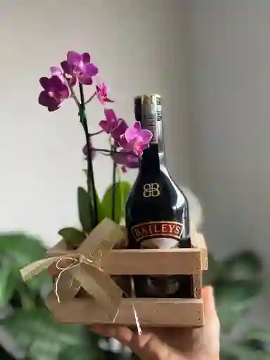 Caja Orquidea Y Baileys Premium