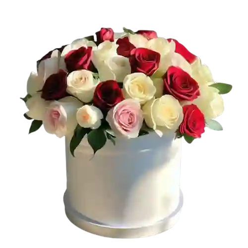 🤍 Caja Blanca De Rosas Tricolor De Lujo