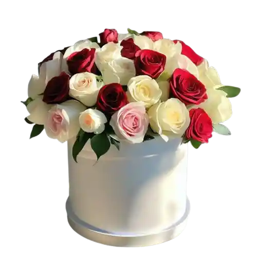 🤍 Caja Blanca De Rosas Tricolor De Lujo