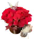 🦋 Caja Premium De Rosas Rojas Con Mariposa