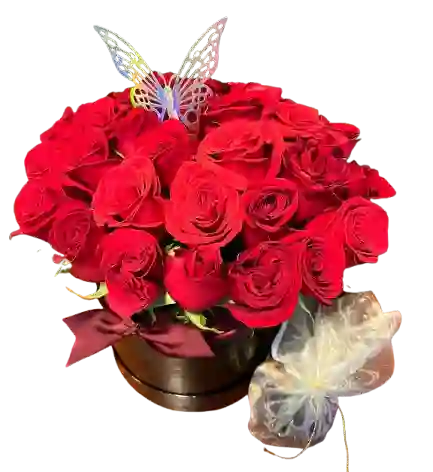 🦋 Caja Premium De Rosas Rojas Con Mariposa