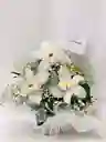 Esperanza