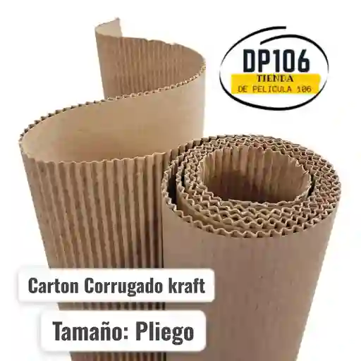 Carton Corrugado Kraft Pliego X 1 Und