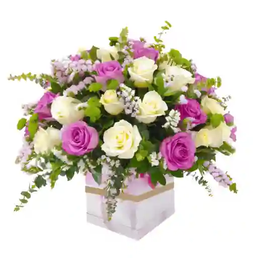 Caja Floral Con Rosas Lila Y Blancas – Arreglo Elegante Con Eucalipto Y Estatice 🌸