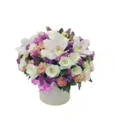 Caja De Orquídeas Y Flores