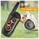 Collar De Entrenamiento Para Perros Impermeable