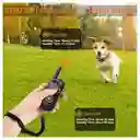 Collar De Entrenamiento Para Perros Impermeable