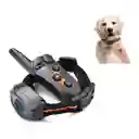 Collar De Entrenamiento Para Perros Impermeable