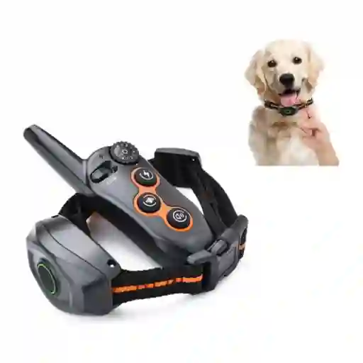 Collar De Entrenamiento Para Perros Impermeable