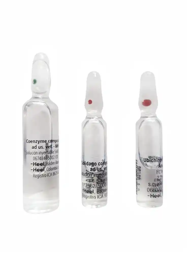 Kit Terapia Suc Heel