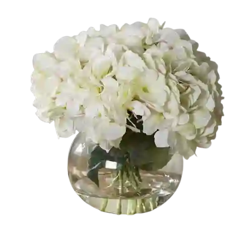 Hortensia Blanca En Pecera Luz De Hogar