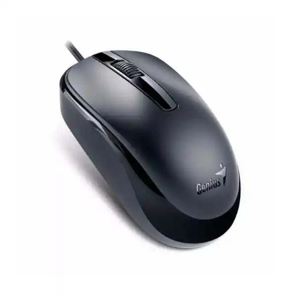 Mouse Genius Dx-120 Usb