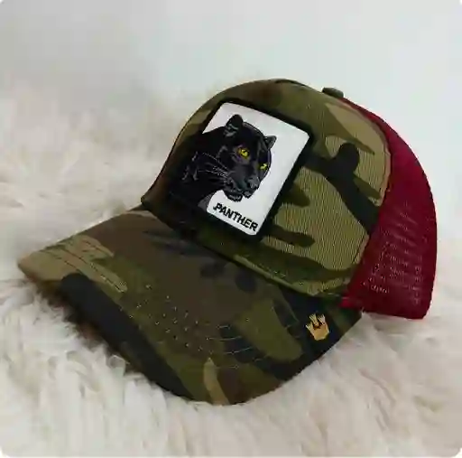 Gorra Goorin Bros
