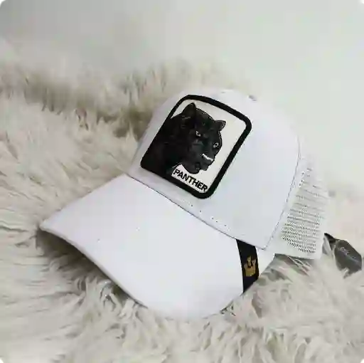 Gorra Goorin Bros