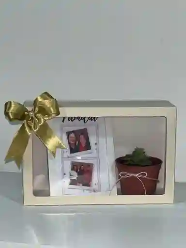 Detalle Con Planta