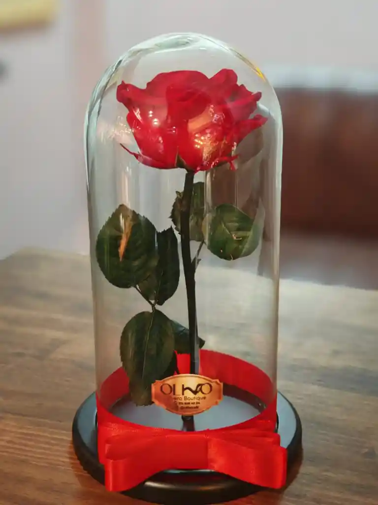 Rosa Roja Preservada En Urna De Cristal Luxury