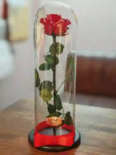 Rosa Roja Preservada En Urna De Cristal Grande Luxury