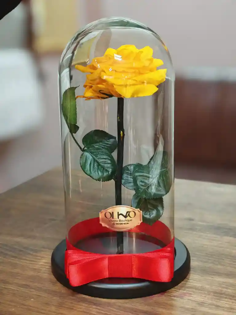 Rosa Amarilla Oro Preservada En Urna De Cristal Luxury