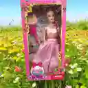 Juguete Muñeca Princesa Con Cepillo Y Cartera