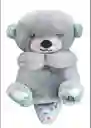 Peluche Nutria Musical Con Movimientos Y Luces Para Bebés Gris