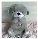 Peluche Nutria Musical Con Movimientos Y Luces Para Bebés Gris