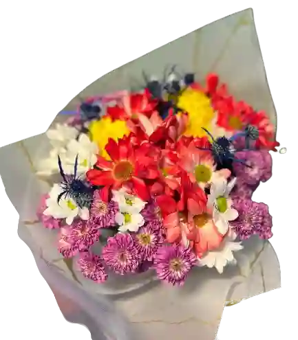 🌺 Bouquet De Colores Vibrantes Con Margaritas Y Crisantemos