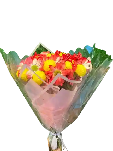 🌼 Bouquet Alegre Con Margaritas Y Pompones