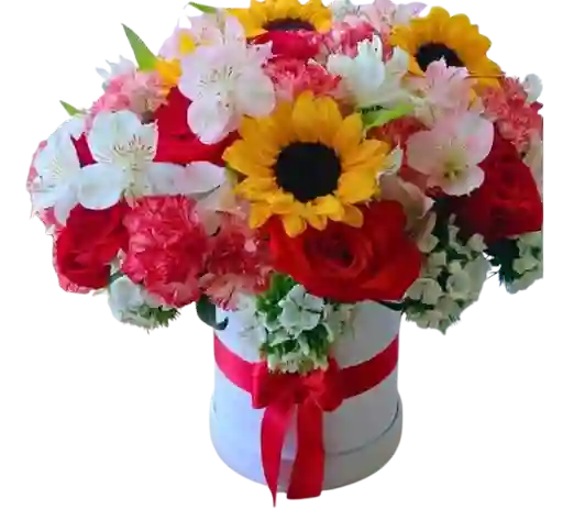 🌻 Caja Floral Color Fiesta Con Girasoles
