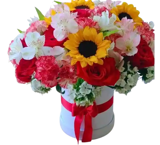 🌻 Caja Floral Color Fiesta Con Girasoles