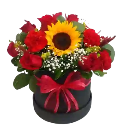Cajas Florales Premium
