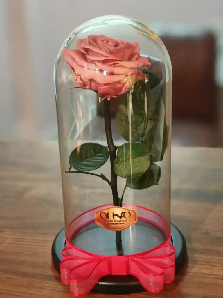 Rosa Rosa Oro Preservada En Urna De Cristal Luxury