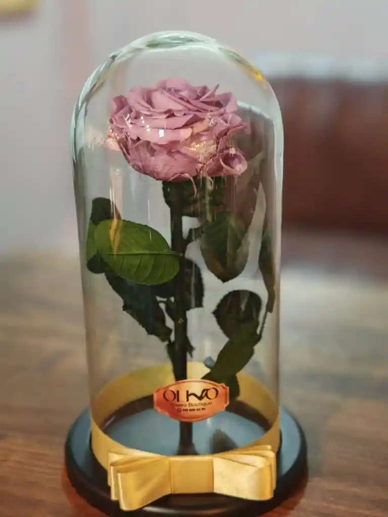 Rosa Color Lavanda Preservada En Urna De Cristal Luxury