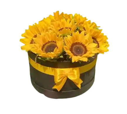 Cajas Con Girasoles
