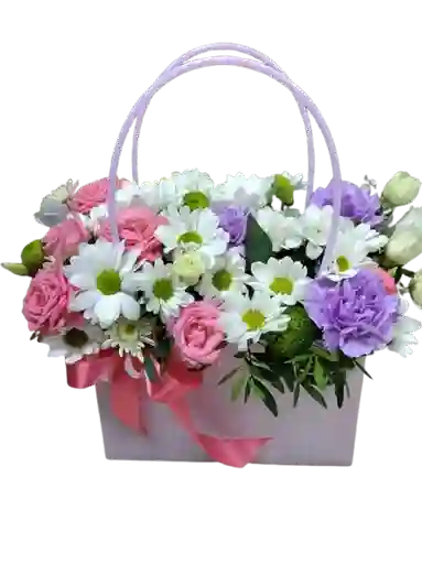 🌼 Bolso Primavera Alegre