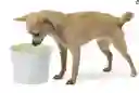 Cat It® Fresh & Clear Dog & Cat Pet Drinking Fountain 3 Litros