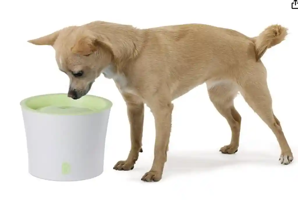 Cat It® Fresh & Clear Dog & Cat Pet Drinking Fountain 3 Litros