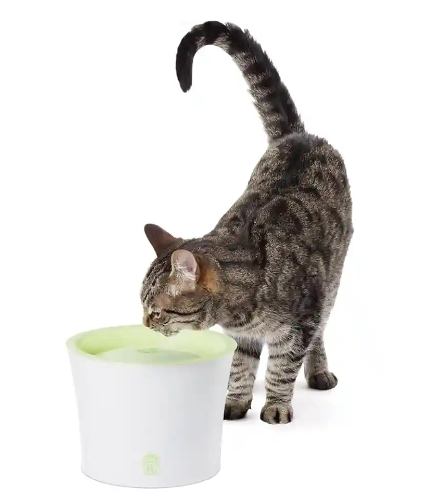 Cat It® Fresh & Clear Dog & Cat Pet Drinking Fountain 3 Litros