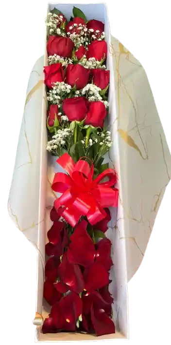 🌹 Caja Rosas Clásicas Con Pétalos