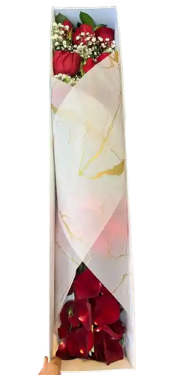 🌹 Caja Rosas Clásicas Con Pétalos