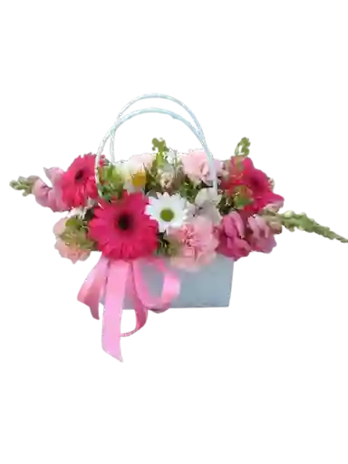 🎀 Bolso Gerberas Y Días Felices