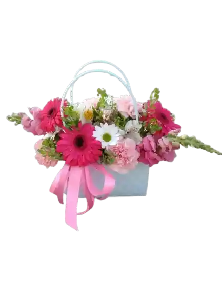 🎀 Bolso Gerberas Y Días Felices