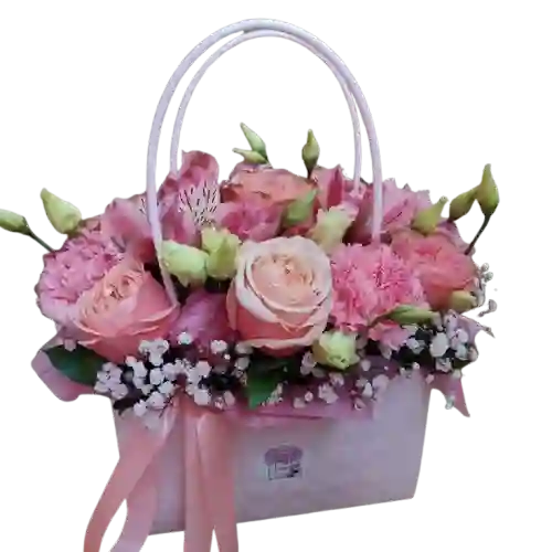 👛 Bolso Rosa Pastel