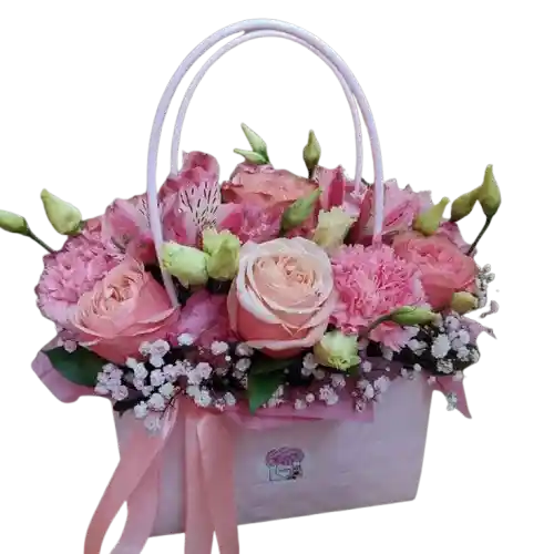 👛 Bolso Rosa Pastel