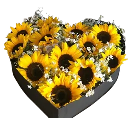 🌻 Corazón De Girasoles