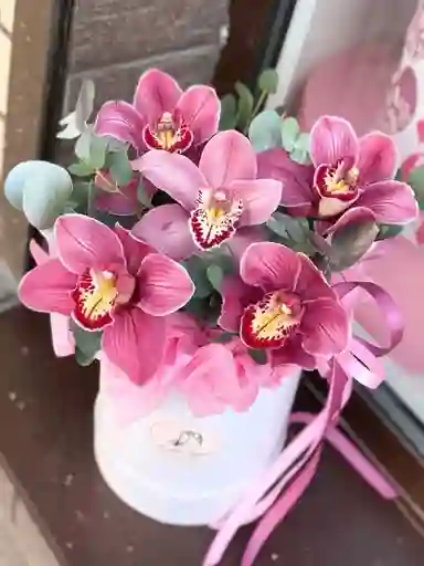 💗 Caja Floral De Orquídeas