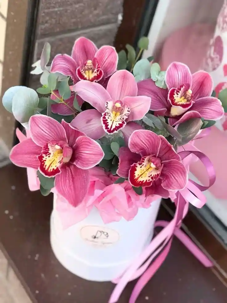 💗 Caja Floral De Orquídeas