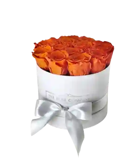 🧡 Caja Coral Deluxe