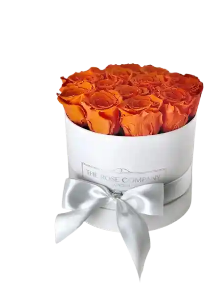🧡 Caja Coral Deluxe